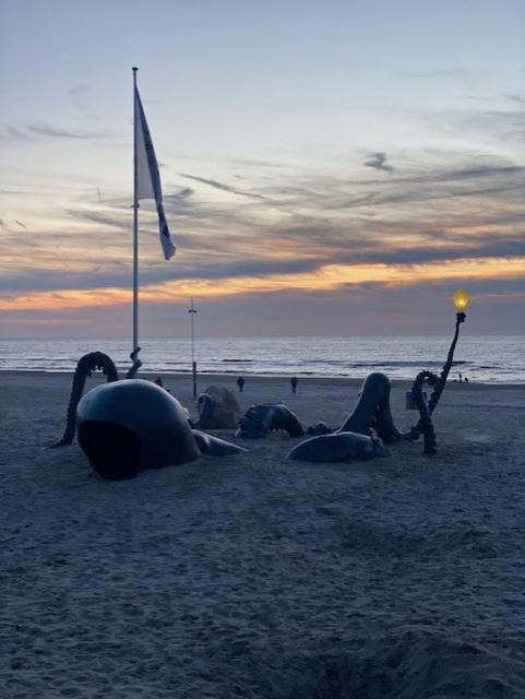 Depannemarkt De Panne Buitenkant foto